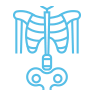 skeletal abnormalities skeletal abnormalities