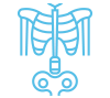 skeletal changes